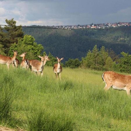 Lovely Apartment In The Black Forest Villingen-Schwenningen Eksteriør bilde