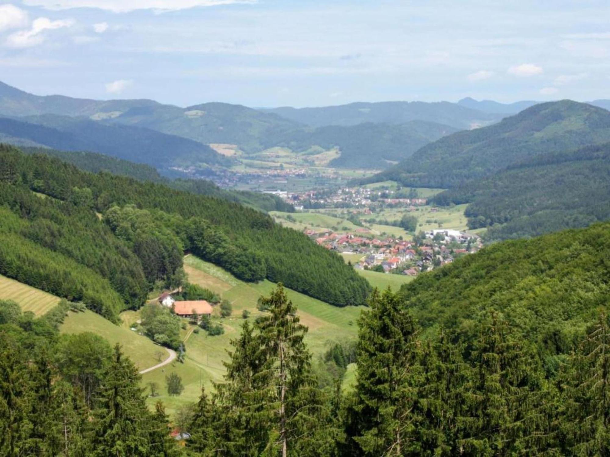 Lovely Apartment In The Black Forest Villingen-Schwenningen Eksteriør bilde