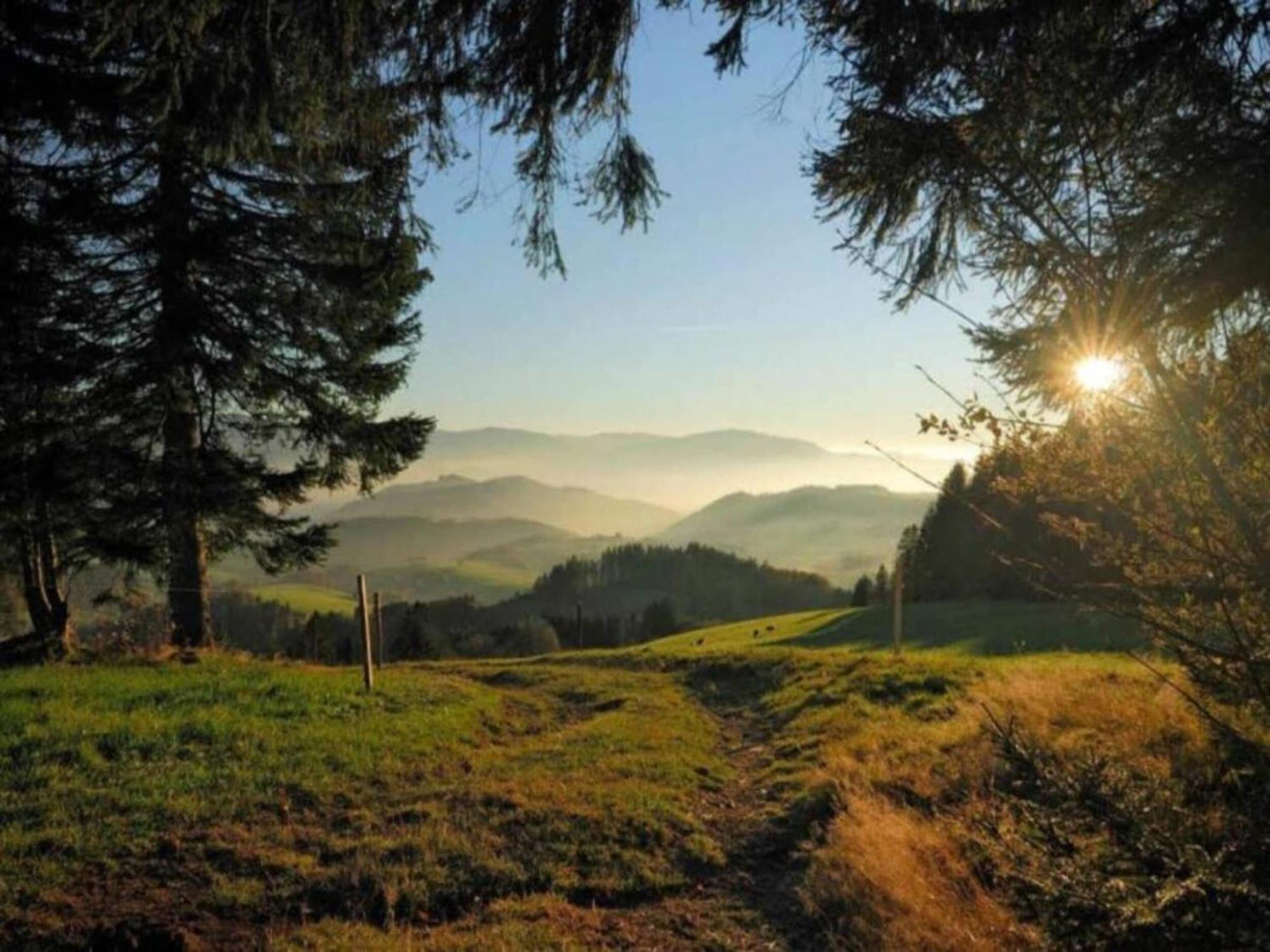 Lovely Apartment In The Black Forest Villingen-Schwenningen Eksteriør bilde