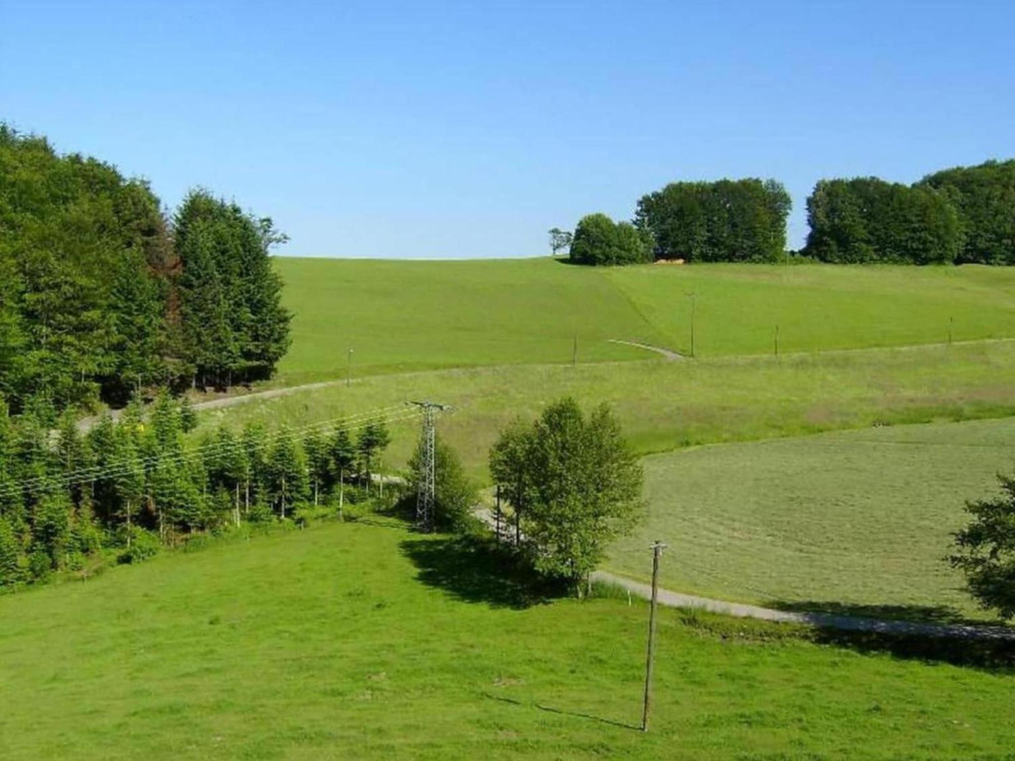 Lovely Apartment In The Black Forest Villingen-Schwenningen Eksteriør bilde