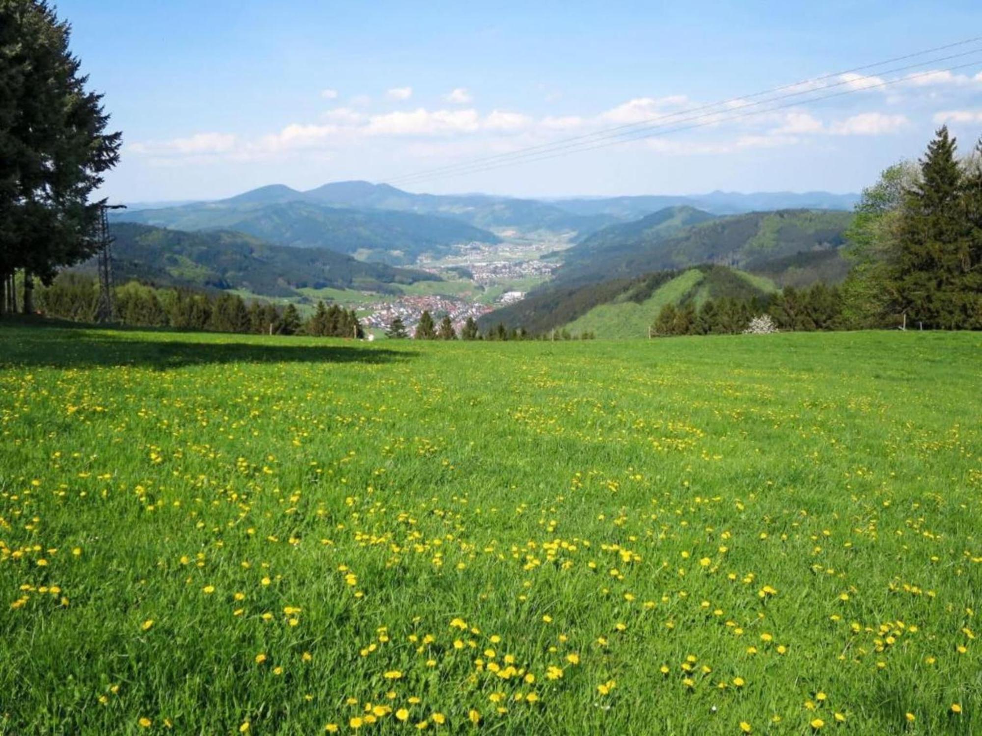 Lovely Apartment In The Black Forest Villingen-Schwenningen Eksteriør bilde