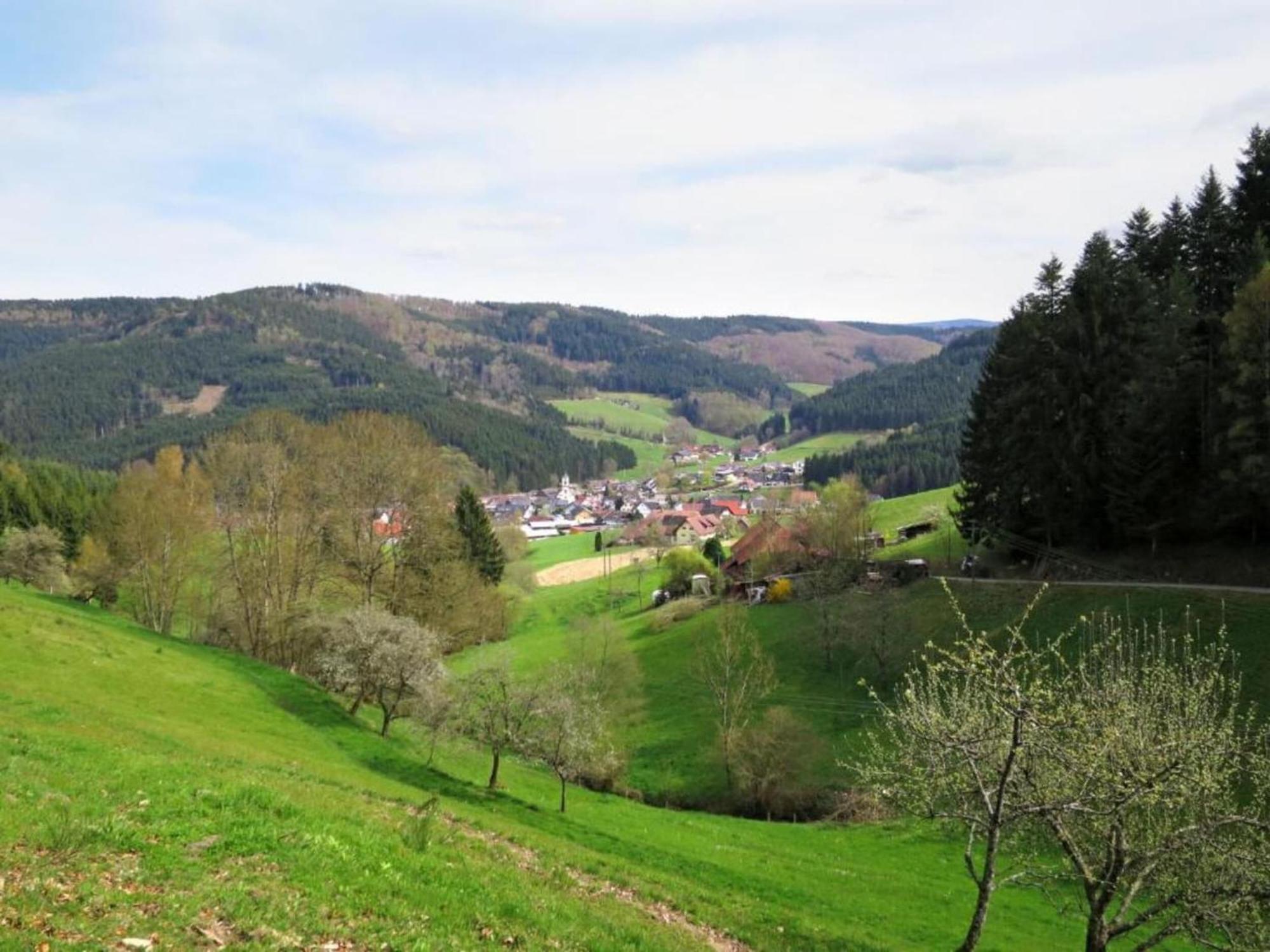 Lovely Apartment In The Black Forest Villingen-Schwenningen Eksteriør bilde