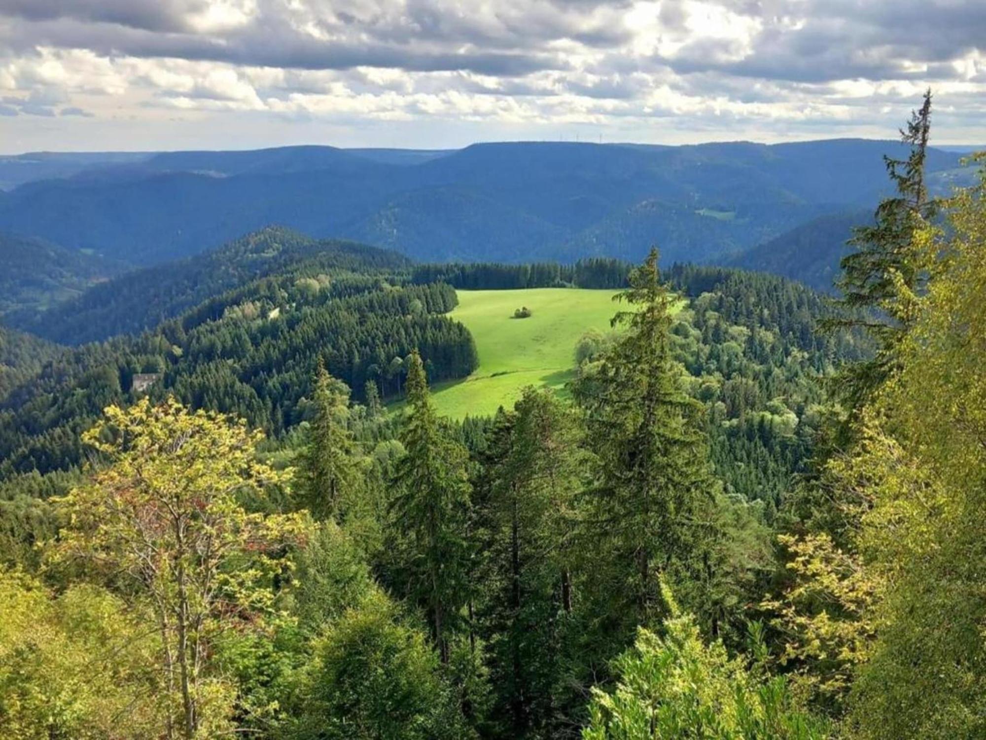 Lovely Apartment In The Black Forest Villingen-Schwenningen Eksteriør bilde